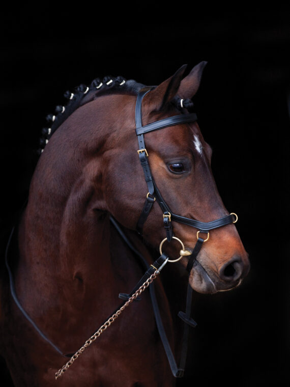 MULTIBRIDLE MICKLEM Testiera 